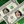 A Custom Dollar Bill: A REAL Dollar Bill with Your Name & Photo