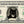 dollar bill from You're on the Money with a black and white cat on it and the caption 