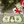 Santa Claus Dollar Bill