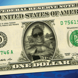 A Custom Dollar Bill: A REAL Dollar Bill with Your Name & Photo