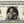 Load image into Gallery viewer, dollar bill from You&#39;re on the Money with a picture of a man with a mustache and glasses with his dog
